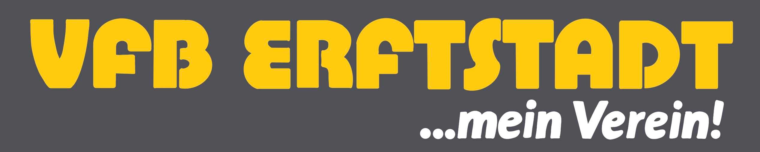 Logo des VfB-Erftstadt
